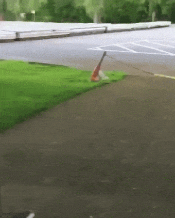 Acid GIFs, December 27 (25 gifs)