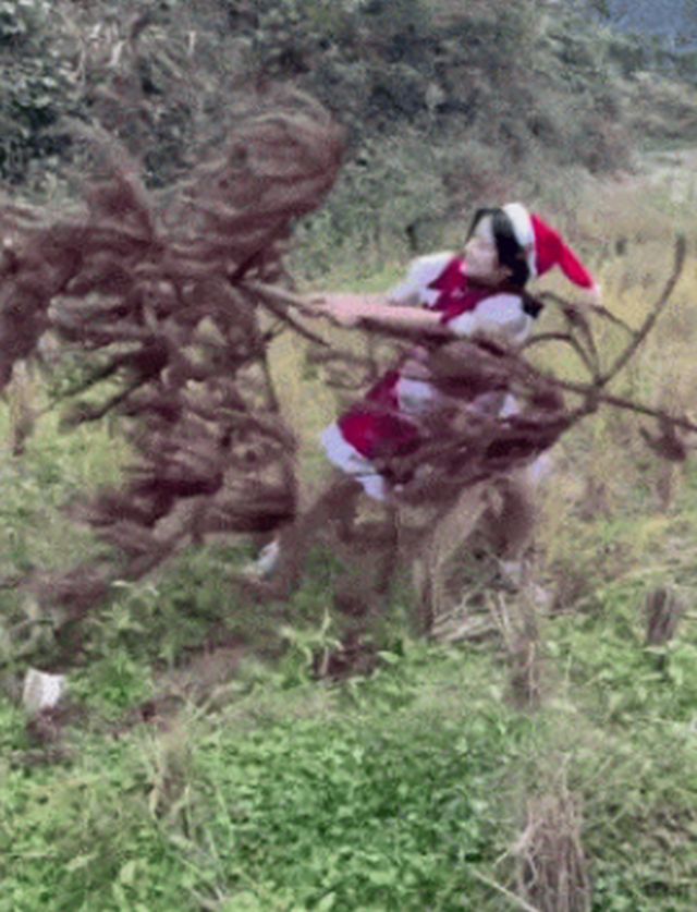 Acid GIFs, December 27 (25 gifs)