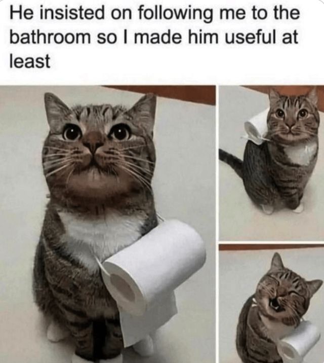 Funny Memes (26 pics)