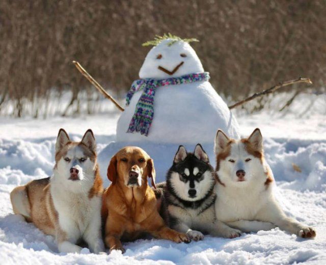 Perfect Group Photos (23 pics)