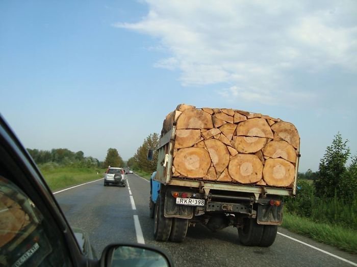Photos For Perfectionists (20 pics)
