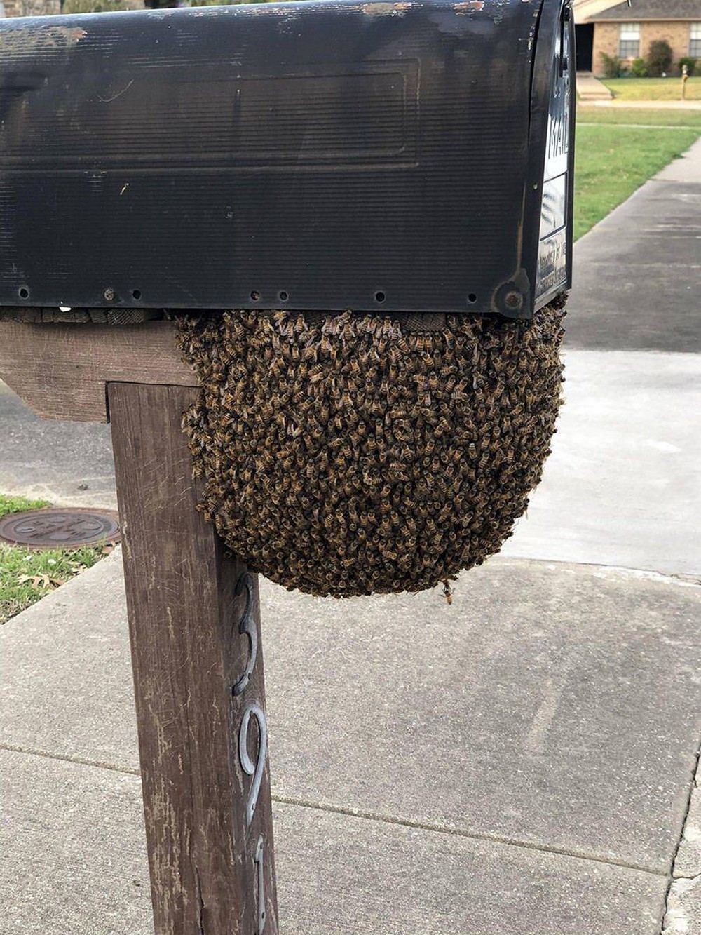 Bad Days Happen (26 pics)