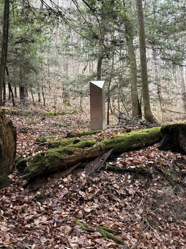 Interesting And Unexpected Finds (20 pics)