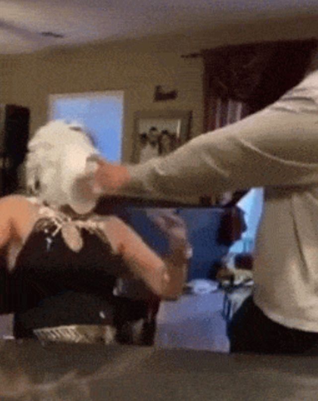 Acid GIFs, January 4 (25 gifs)