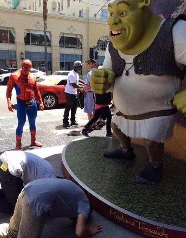 What Is Going On Here? (28 pics)