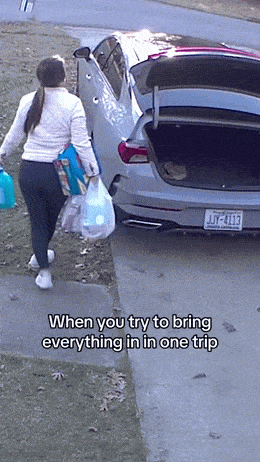 Acid GIFs, January 8 (25 gifs)