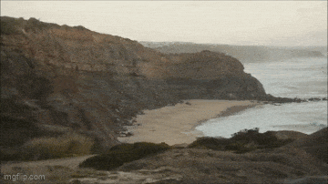 Acid GIFs, January 8 (25 gifs)