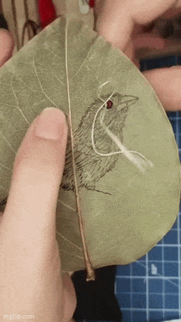 Acid GIFs, January 8 (25 gifs)