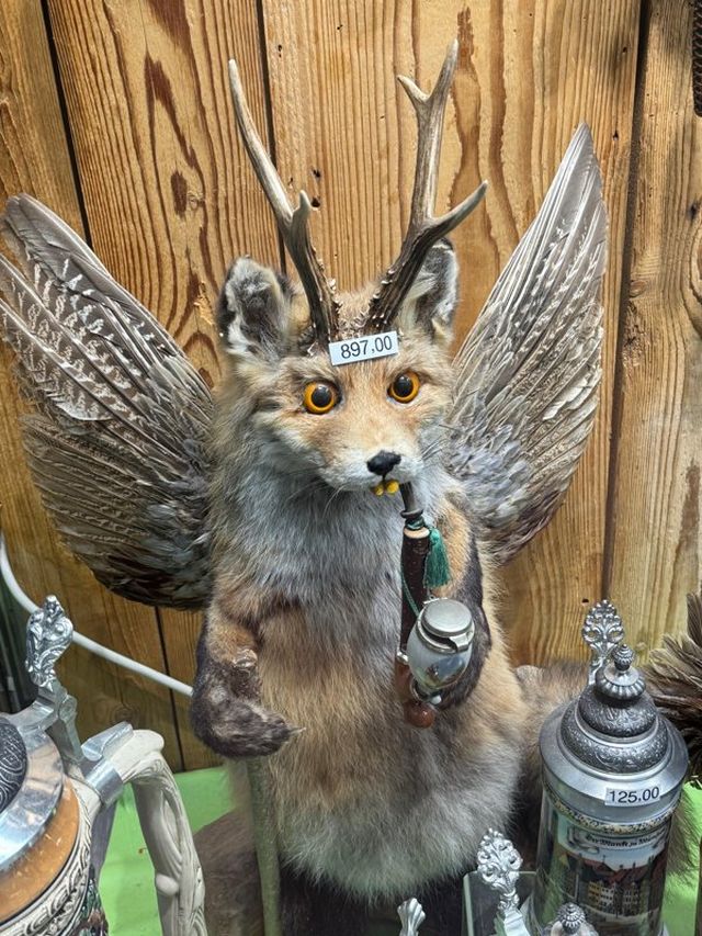 What Is Going On Here? (22 pics)