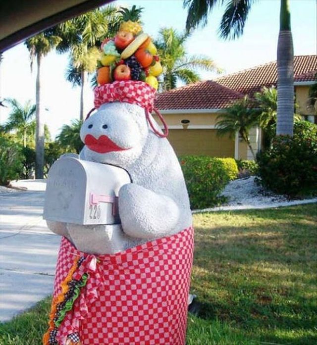 Strange Finds (16 pics)