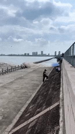 Acid GIFs, January 10 (25 gifs)