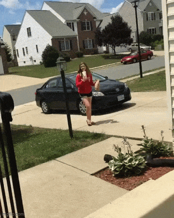 Acid GIFs, January 10 (25 gifs)