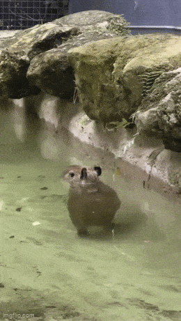 Acid GIFs, January 10 (25 gifs)