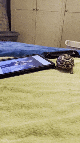 Acid GIFs, January 10 (25 gifs)