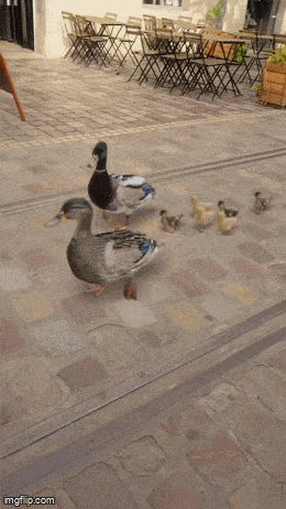 Acid GIFs, January 10 (25 gifs)