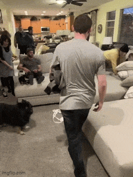Acid GIFs, January 10 (25 gifs)