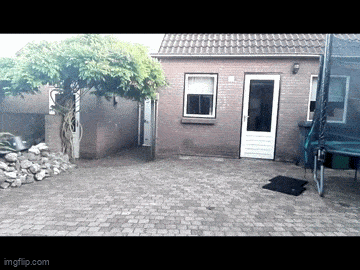 Acid GIFs, January 10 (25 gifs)