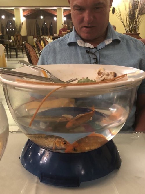 Weird Food Serving (25 pics)