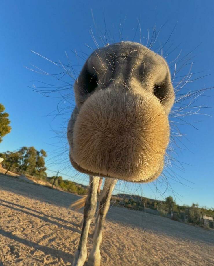 Daily Pictures. Part 2 (71 pics)