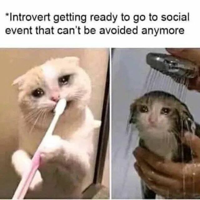 Memes With Animals (26 pics)