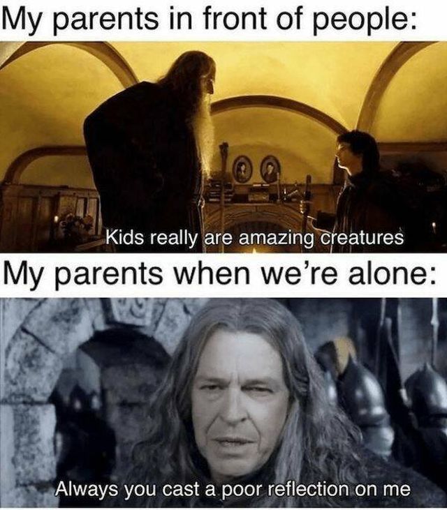 ''LOTR'' Memes (19 pics)
