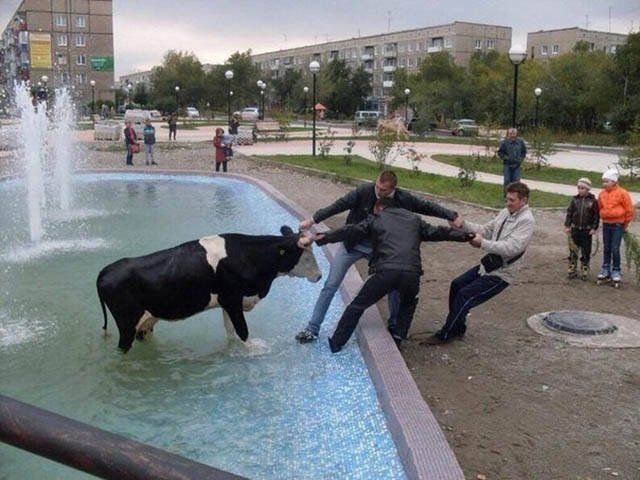 Strange Russians (40 pics)