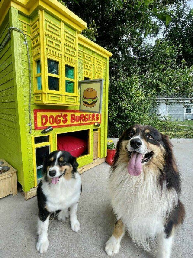Dog Owners Who Built Them Cool Houses (19 pics)