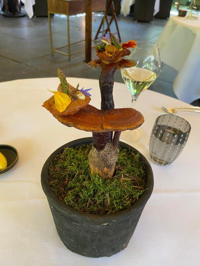 Weird Food Serving (22 pics)
