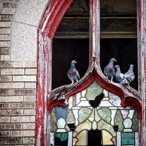 Amazing Abandoned Places (28 pics)