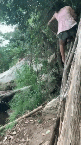 Acid GIFs, January 16 (25 gifs)
