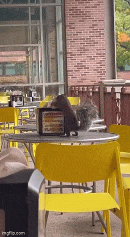 Acid GIFs, January 16 (25 gifs)