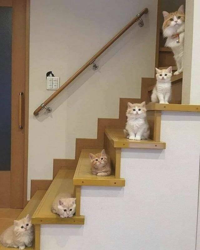 Daily Pictures. Part 2 (74 pics)
