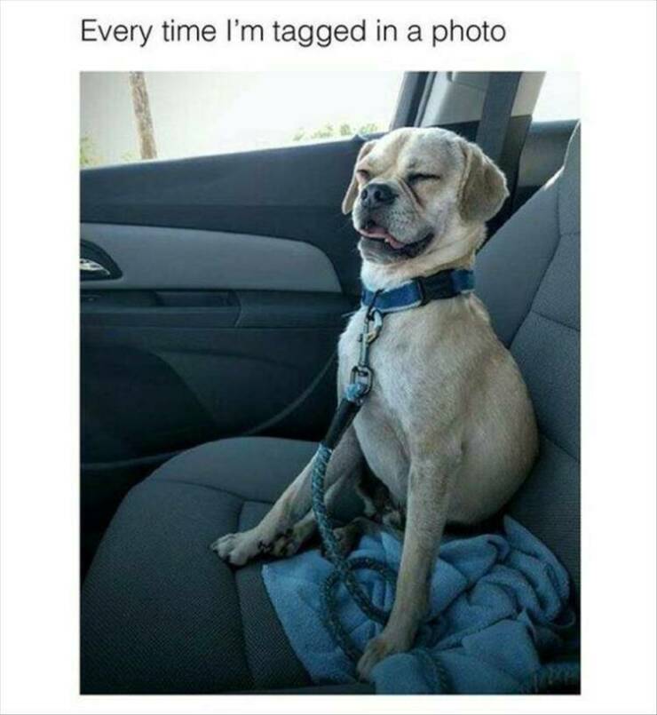 Daily Pictures. Part 2 (74 pics)