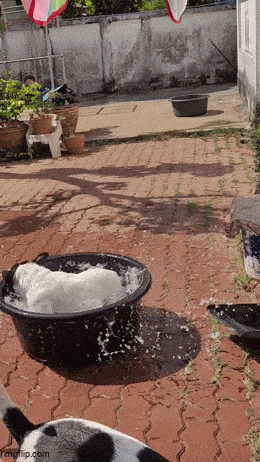 Acid GIFs, January 17 (25 gifs)
