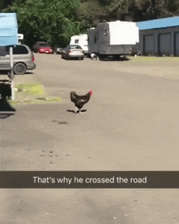 Acid GIFs, January 17 (25 gifs)