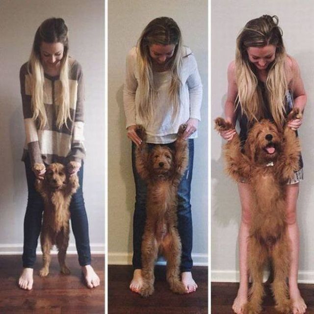 They Grow Very Fast (18 pics)