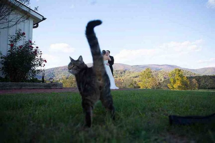Bad Time For A Photo (24 pics)