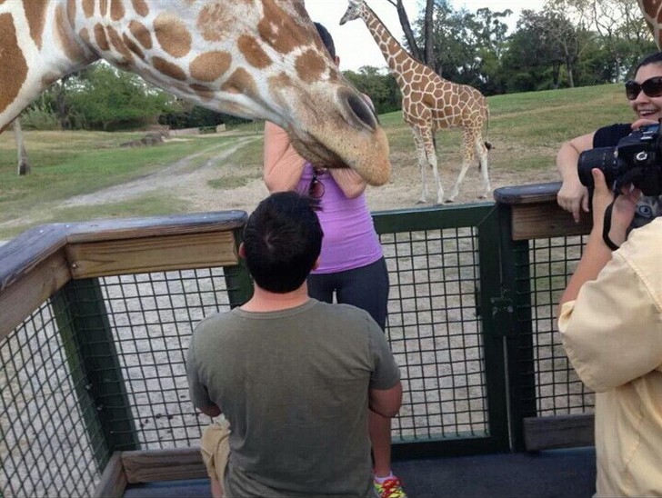 Bad Time For A Photo (24 pics)