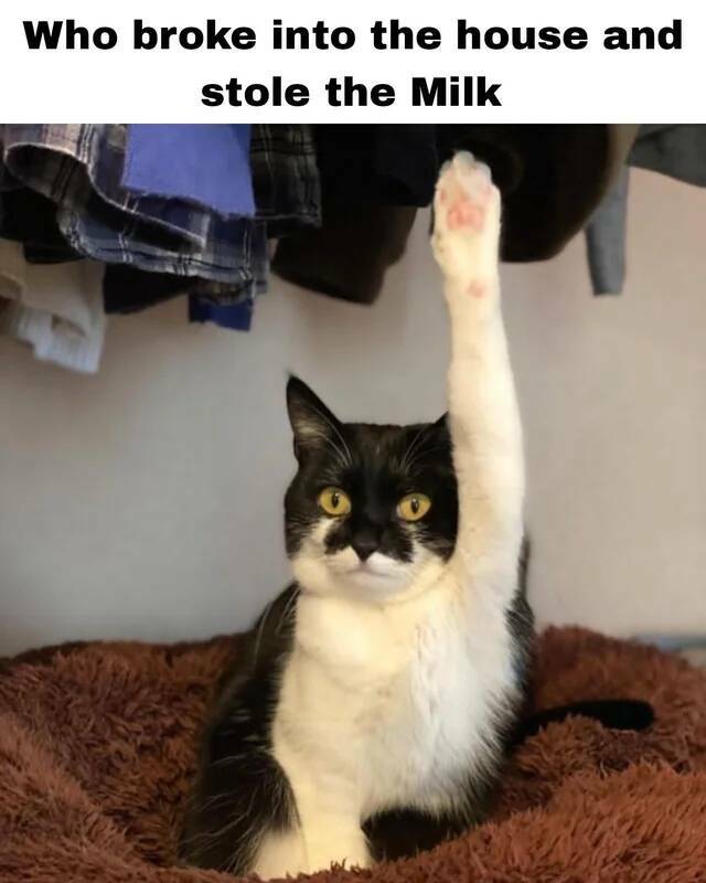 Daily Pictures. Part 2 (64 pics)