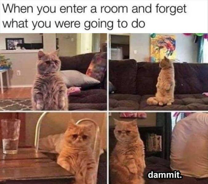 Daily Pictures. Part 2 (67 pics)