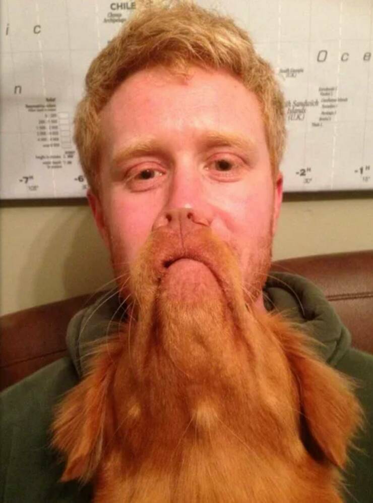 Daily Pictures. Part 2 (69 pics)