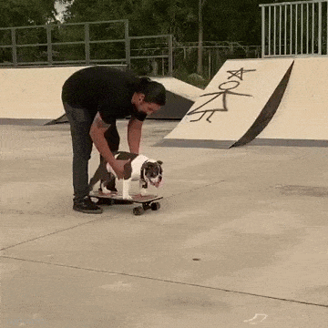 Acid GIFs, January 24 (25 gifs)