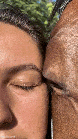 Acid GIFs, January 24 (25 gifs)