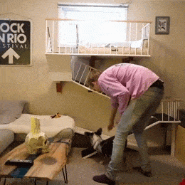 Acid GIFs, January 24 (25 gifs)