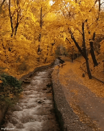 Acid GIFs, January 24 (25 gifs)