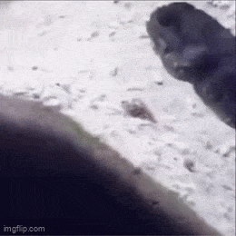 Acid GIFs, January 24 (25 gifs)
