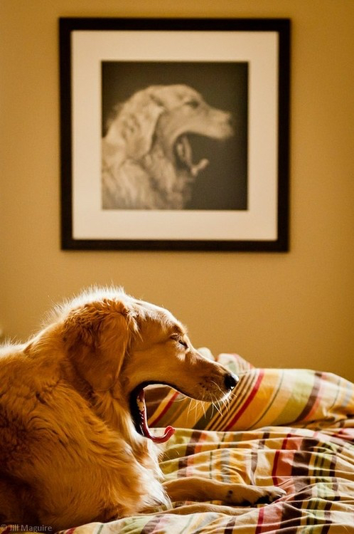 Unexpected Coincidences (20 pics)