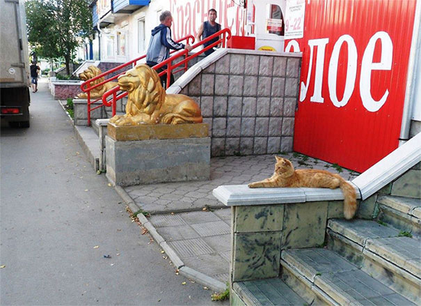 Unexpected Coincidences (20 pics)