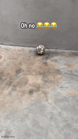 Acid GIFs, January 25 (25 gifs)