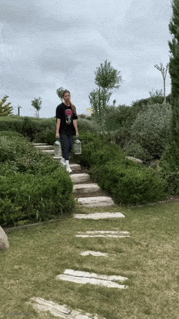 Acid GIFs, January 25 (25 gifs)
